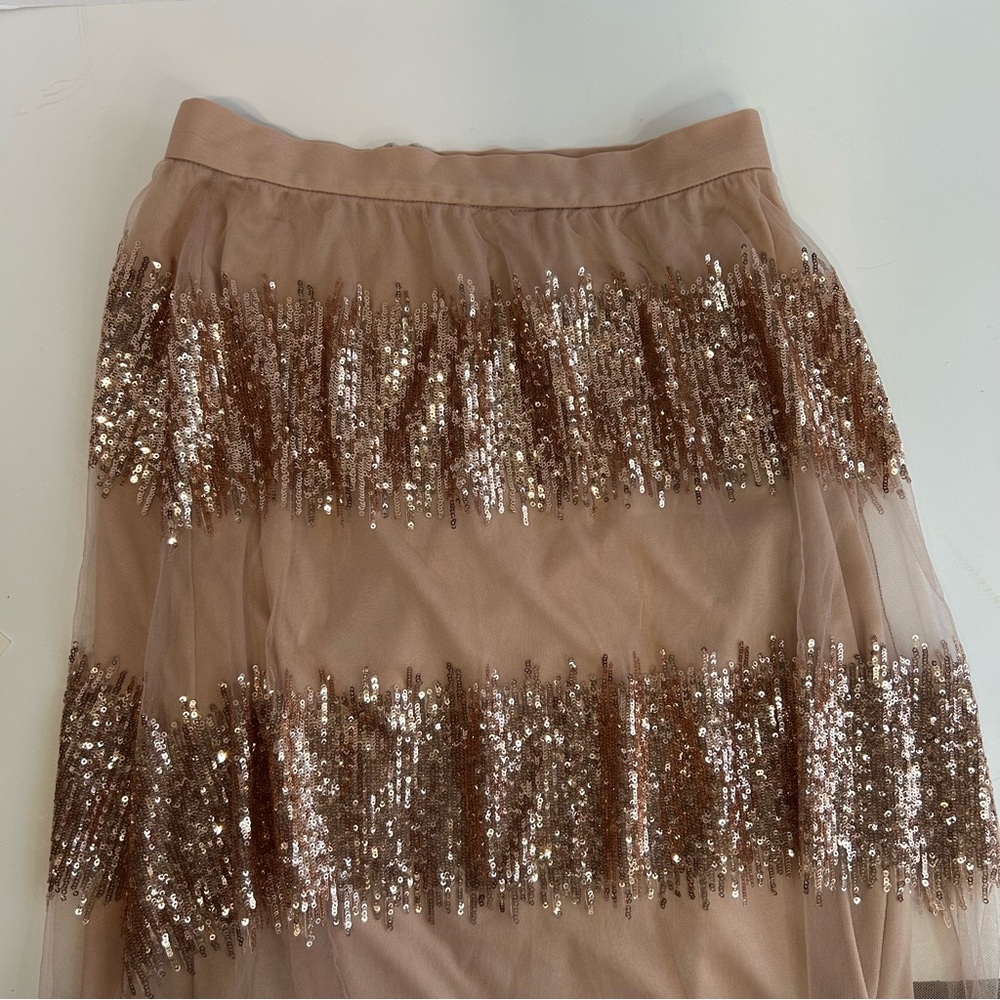 🆕 Anthropologie Eva Franco Blush Rose Sequin Tulle Maxi Skirt - Picture 7 of 10